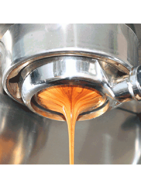 Bundlsfilterholder-01