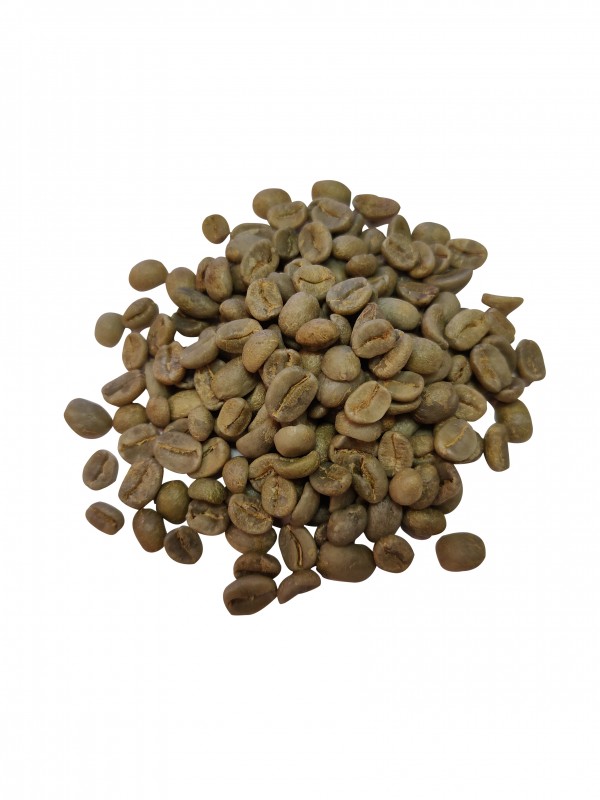 CostaRicaTarrazuElPumarbnner-01