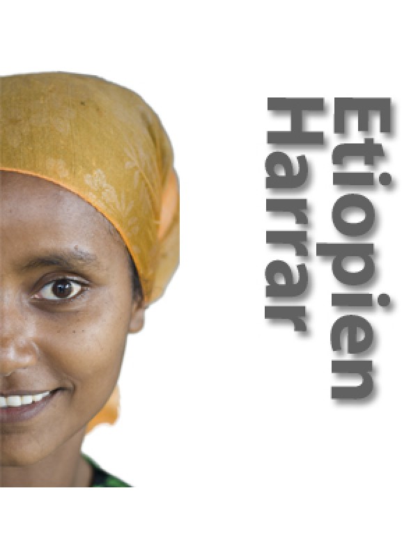 EtiopienYirgacheffegr1soltrretristet-01