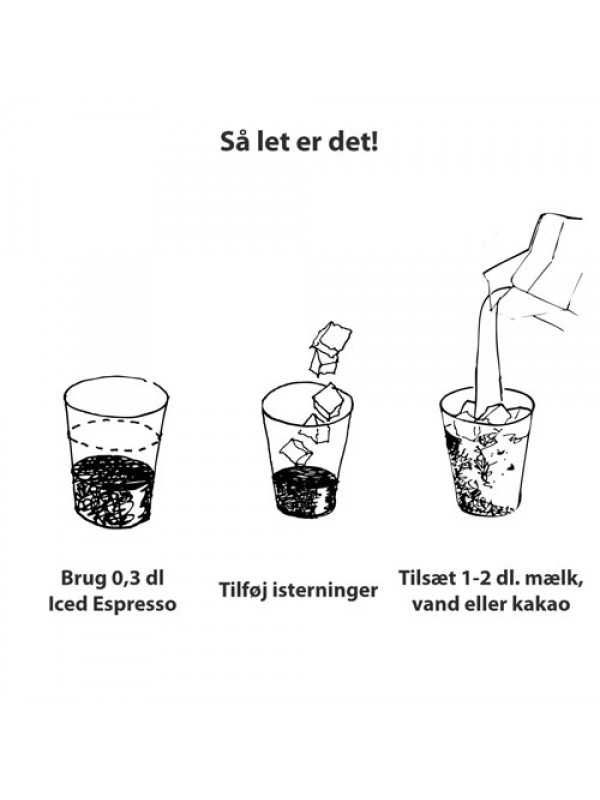 IcedEspressoMintChocolate16shotsliter-01