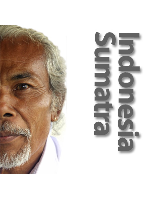 IndonesienSumatraMandhelinggr1ristet-07