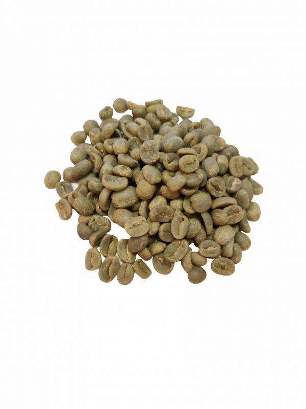 GuatemalaSHBHuehuetenangorbnner-01