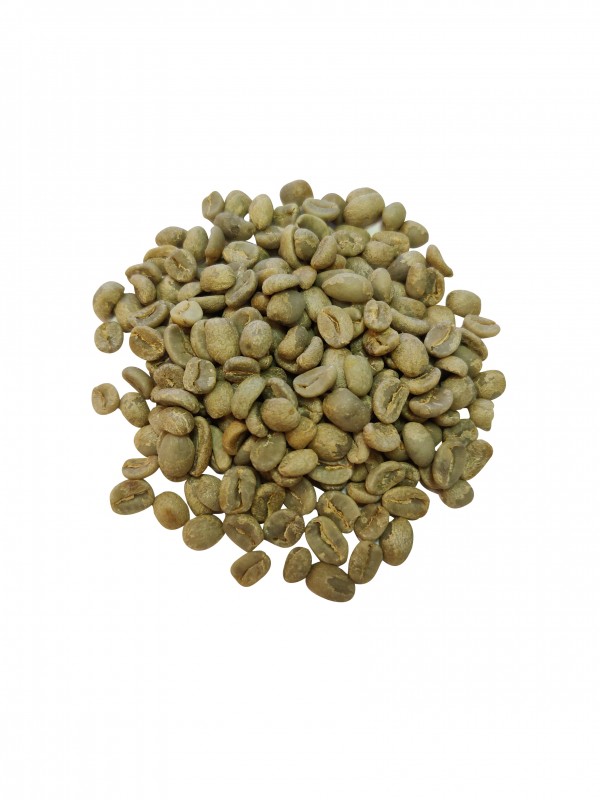 MexicoEsmeraldarbnner-01