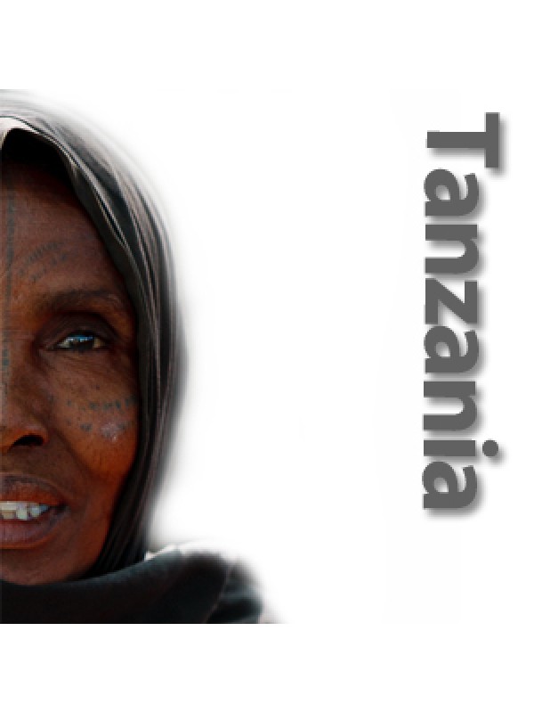 TanzaniaUtengulePeaberryristet-01