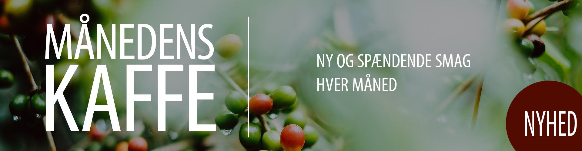 Månedens kaffe